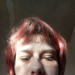 , 26, 
