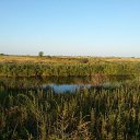 ���� ������, ������� ���, 54 ���� - ��������� 31 ����� 2024 � ������ ���� ����������