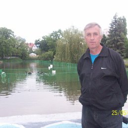 , 63 , 