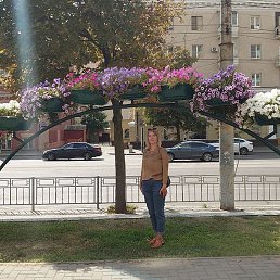 ������, �������, 55 ���