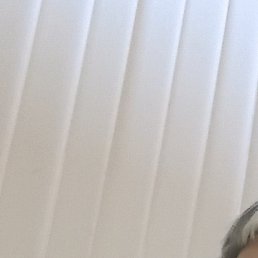 �����, �����-���������, 48 ���