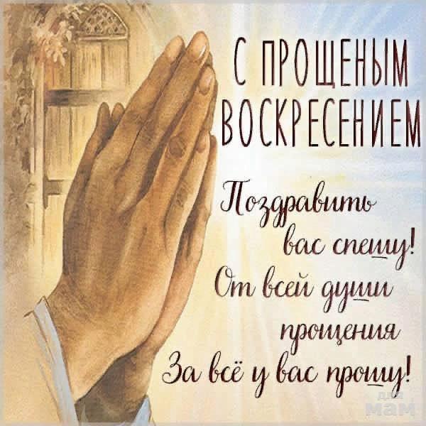 Гена Крокодилов - 2 марта 2025 в 09:34
