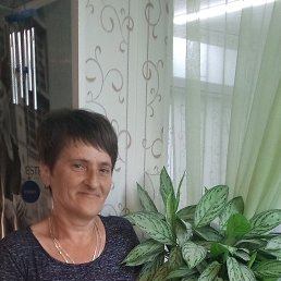 , 52, 