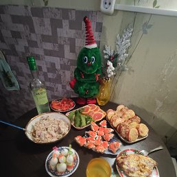 ���� ���������, ������, 48 ��� - ��������� 13 ������ 2024