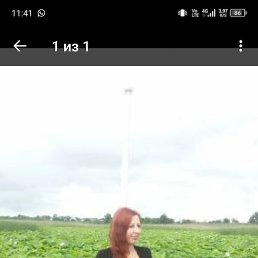 ��������, ���������, 51 ���