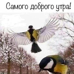 �������, ������, 35 ���