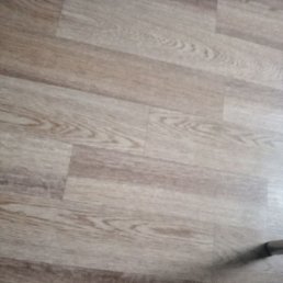 �������, ����, 65 ���