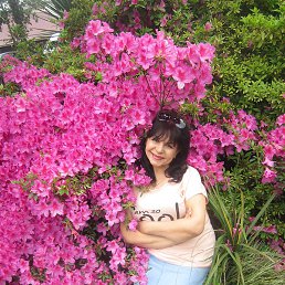 �������, ������