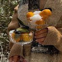 ���� ���, �������� - ��������� 19 ������� 2025 � ������ ������ ��������