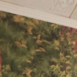 �������, �����������, 54 ����