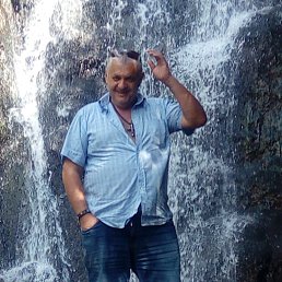 , 61, 