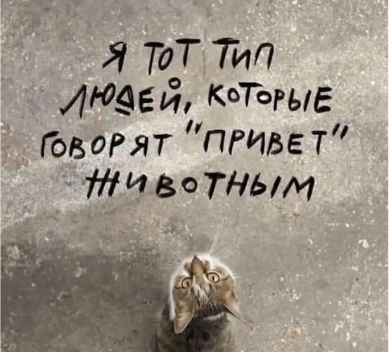   ! - 1  2025  14:39