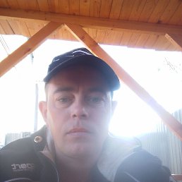 , 37, 