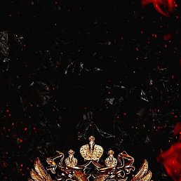 ���� ������, �������������, 40 ��� - ��������� 8 ������ 2023