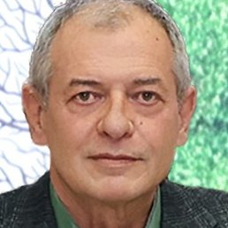 Md Mitkov, �������