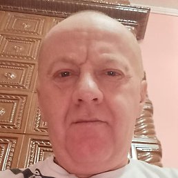 ����, �������, 49 ���