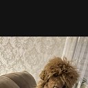 ���� �����, �����, 48 ��� - ��������� 3 ���� 2024 � ������ ���� ����������