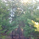 ���� �������, ���������, 45 ��� - ��������� 17 ��� 2024 � ������ ������