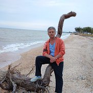 ���������, 66 ���, ������