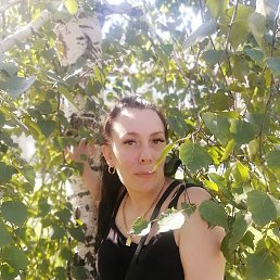 , 41, 