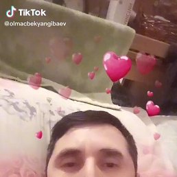 , 40, 