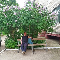 , 42, 