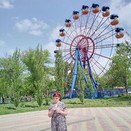 , 61, 