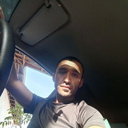 , 34, 