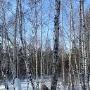 ���� ��������, �������-���������, 65 ��� - ��������� 25 ������� 2024 � ������ ���� ����������