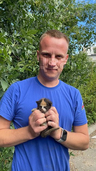Котёнок в Подмосковье был дважды спасён из-под капота: во второй раз спасатели оставили его себе. ...