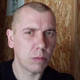 �����, ������, 41 ���