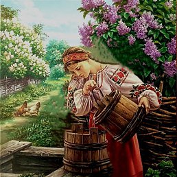 �����, �����-���������, 52 ����