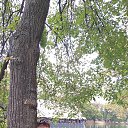 ���� ������, ������ - ��������� 31 ����� 2025 � ������ ���� ����������