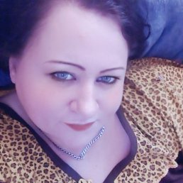 ����, �������, 41 ���