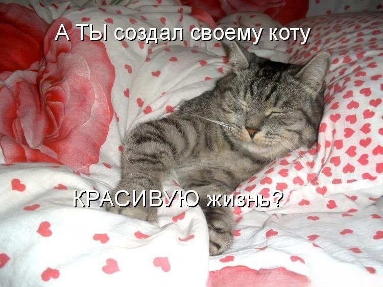   - 29  2025  13:44