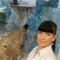 ���������, 38 ���, ������