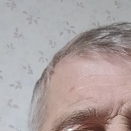 �������, ����, 66 ���