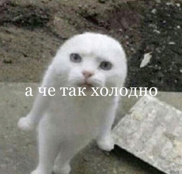 Vladimir Volkov - 18  2025  22:38