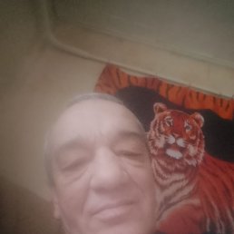 ����������, 55 ���, ���������