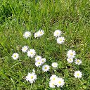 ���� �����, Tartu, 38 ��� - ��������� 25 ���� 2025 � ������ ���� ����������