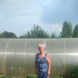 ���������, �����-���������, 79 ���