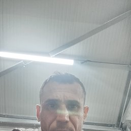 , 41, 