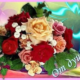 ���� Ali, ������, 25 ��� - ��������� 15 ������� 2025