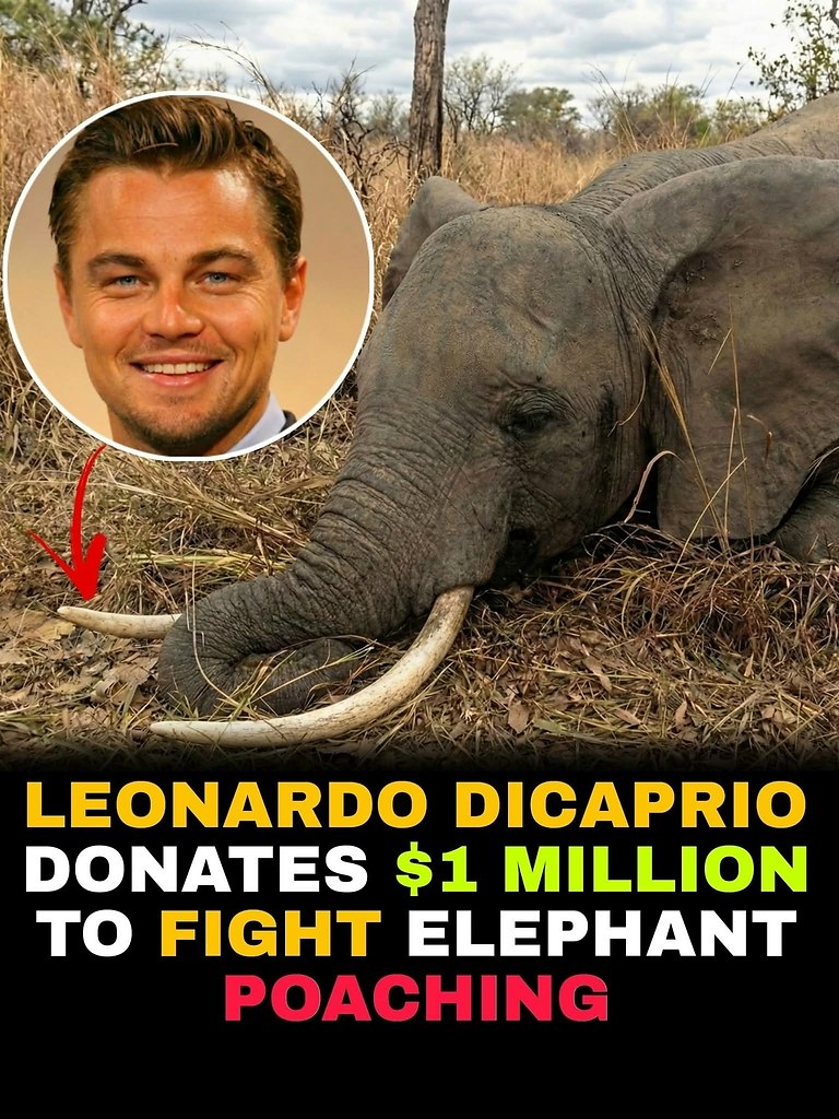 ������ ��������� �������� �� ������ ����������� ���������������� � ������������ 1 ������� �� ������ ...