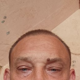 ���� ���������, �����, 46 ��� - ��������� 31 ������� 2025