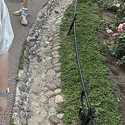 ����, 26 ���, �����-���������