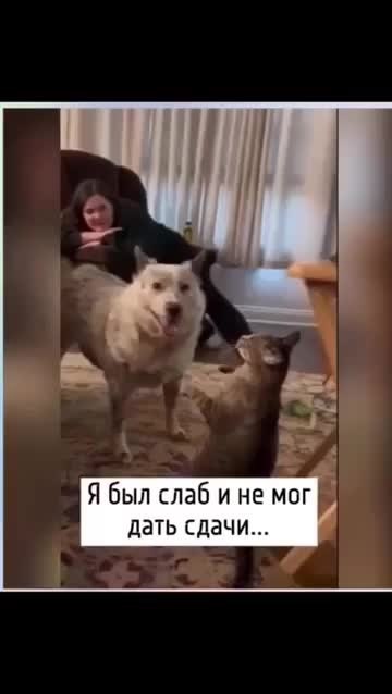 ������ ���� �������� � ���� ����