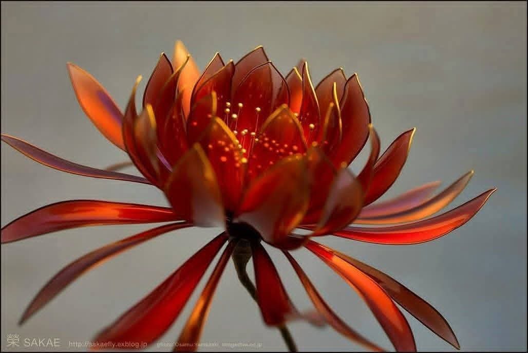 :) �������, ������.������� � �������� ������������ ������� ��������� ��� �����. �� ����� � ������. ... - 7