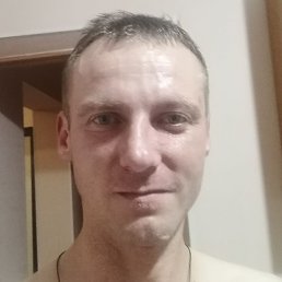 ���������, ������, 41 ���