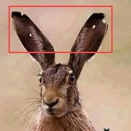 �������, ������, 52 ����